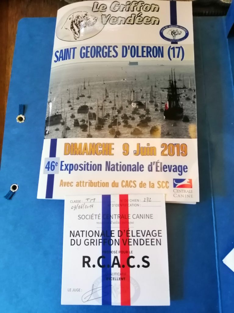 Des Ronciers De La Brenne - Nationale d'élevage du Club du Griffon Vendéen 2019 île d'Oléron 