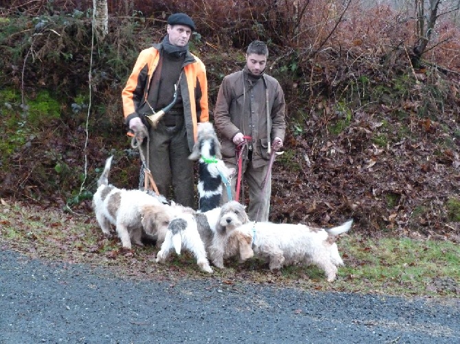 Des Ronciers De La Brenne - Brevet de chasse Chevreuil (E) les 14 et 15 février 2015