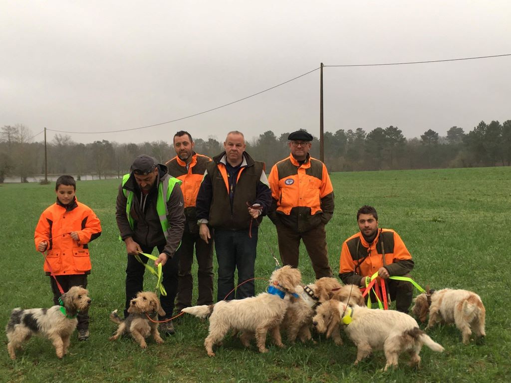 Des Ronciers De La Brenne - Brevet de St Vincent de Connezac (24)