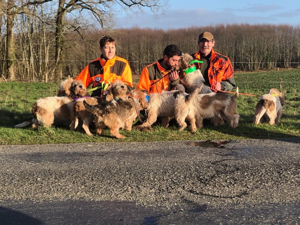 Des Ronciers De La Brenne - Brevet E Haut Limousin 2020