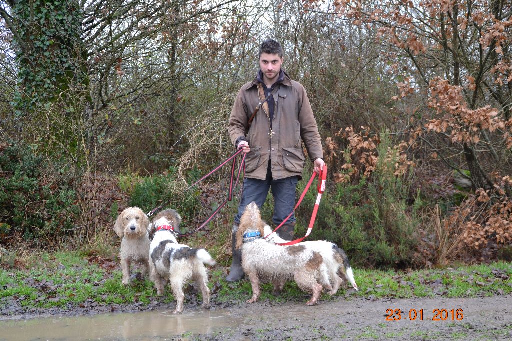 Des Ronciers De La Brenne - Résultats brevet de chasse de la Bourrelière (36)