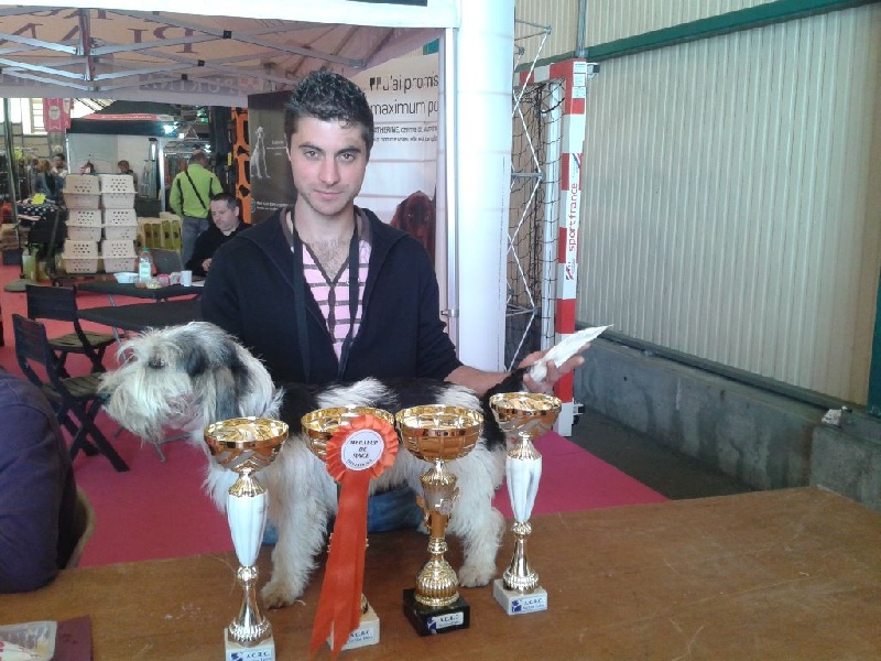 Exposition Chateauroux 2014